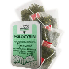Mushroom Mountain Psilocybin Tea - Peppermint 1000mg